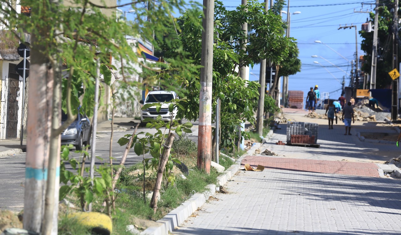 operários trabalhando na pavimentação de uma avenida